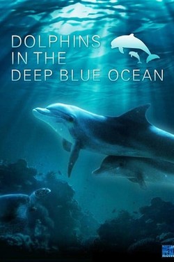 Постер для: Дельфины в океанской синеве 3D