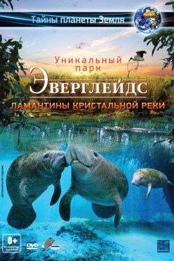 Постер для: Эверглейдс 3D: Ламантины Кристальной реки 3D