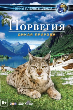 Постер для: Норвегия 3D: Дикая природа